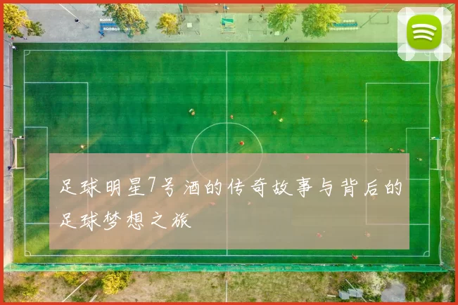 足球明星7号酒的传奇故事与背后的足球梦想之旅