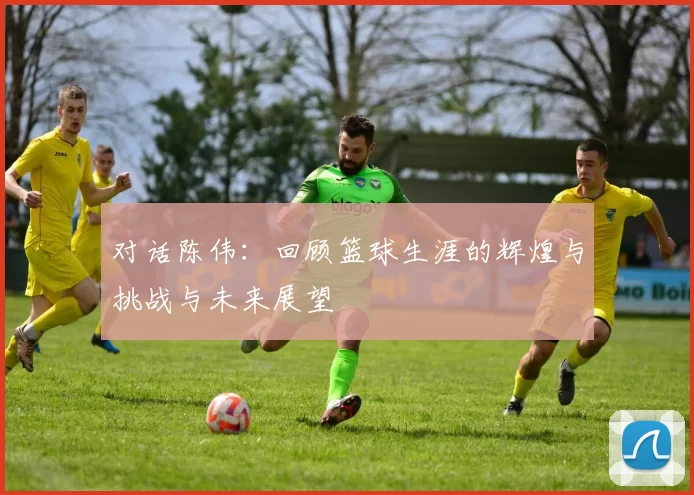 对话陈伟：回顾篮球生涯的辉煌与挑战与未来展望