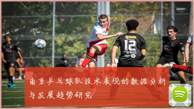 南京乒乓球队技术表现的数据分析与发展趋势研究