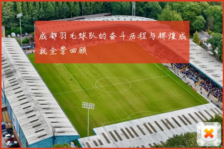 成都羽毛球队的奋斗历程与辉煌成就全景回顾