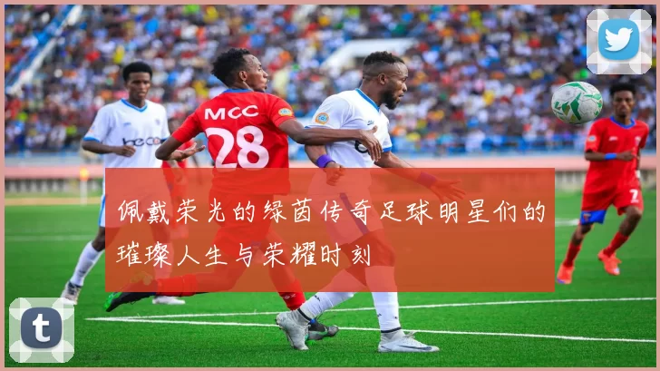 佩戴荣光的绿茵传奇足球明星们的璀璨人生与荣耀时刻