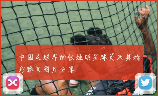 中国足球界的张姓明星球员及其精彩瞬间图片分享