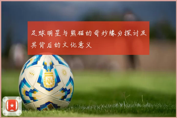 足球明星与熊猫的奇妙缘分探讨及其背后的文化意义