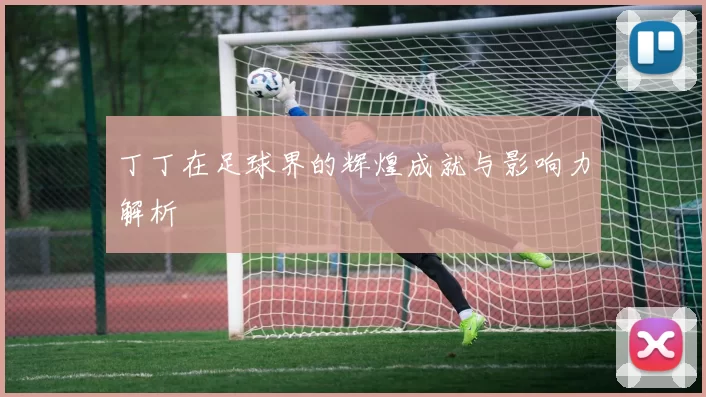 丁丁在足球界的辉煌成就与影响力解析