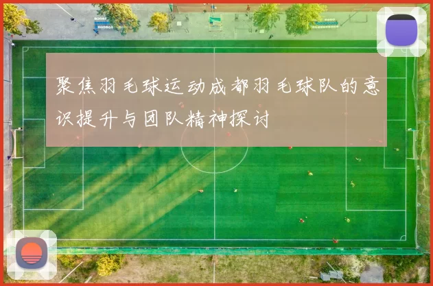 聚焦羽毛球运动成都羽毛球队的意识提升与团队精神探讨