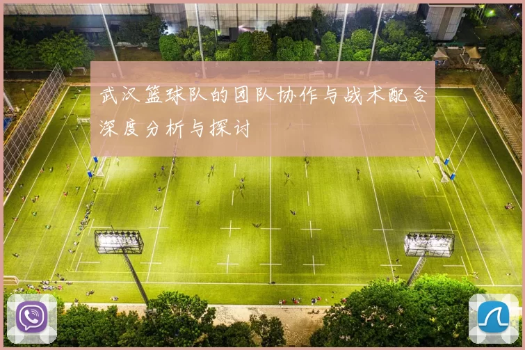 武汉篮球队的团队协作与战术配合深度分析与探讨