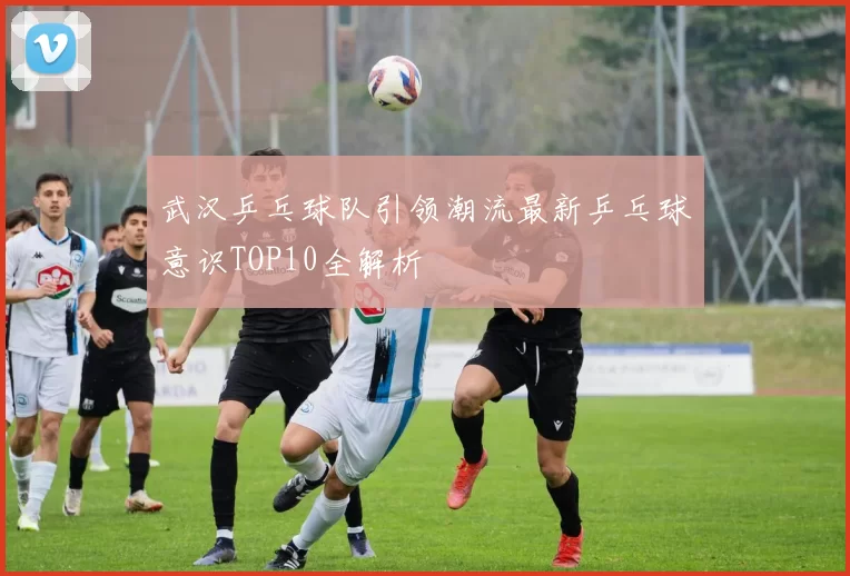 武汉乒乓球队引领潮流最新乒乓球意识TOP10全解析
