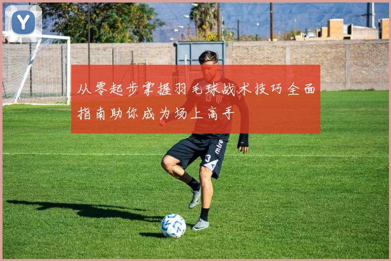 从零起步掌握羽毛球战术技巧全面指南助你成为场上高手