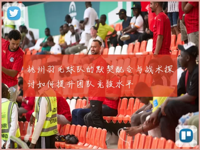 杭州羽毛球队的默契配合与战术探讨如何提升团队竞技水平
