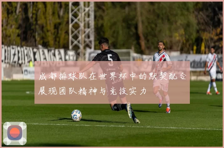 成都排球队在世界杯中的默契配合展现团队精神与竞技实力