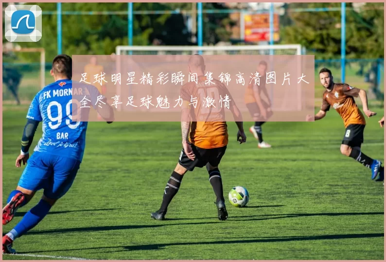 足球明星精彩瞬间集锦高清图片大全尽享足球魅力与激情