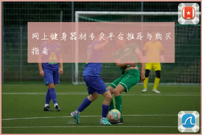 网上健身器材专卖平台推荐与购买指南