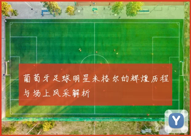 葡萄牙足球明星米格尔的辉煌历程与场上风采解析