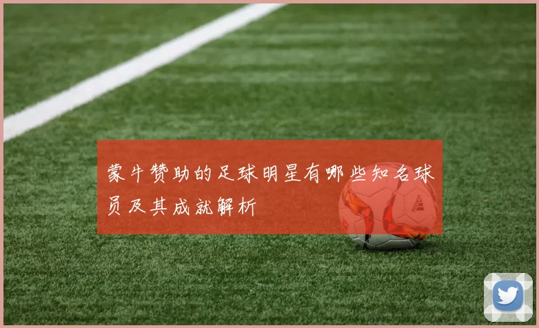 蒙牛赞助的足球明星有哪些知名球员及其成就解析