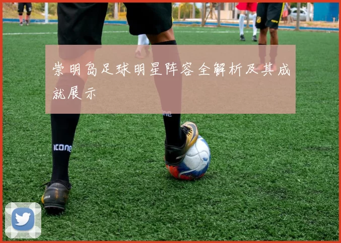 崇明岛足球明星阵容全解析及其成就展示
