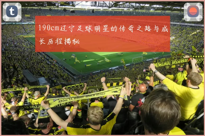 190cm辽宁足球明星的传奇之路与成长历程揭秘