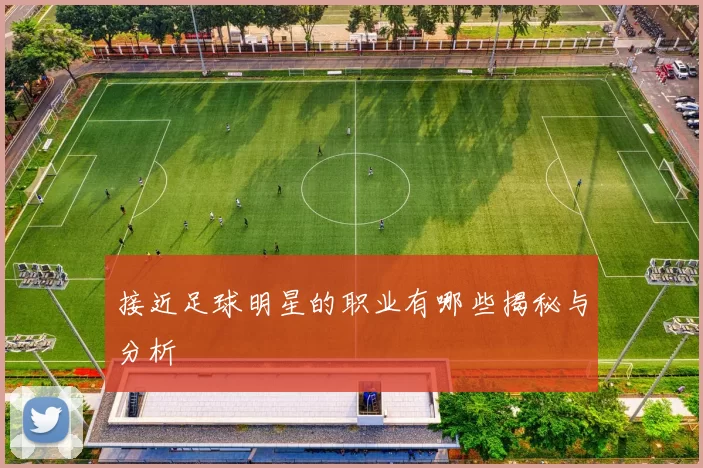 接近足球明星的职业有哪些揭秘与分析