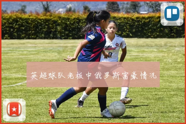 英超球队老板中俄罗斯富豪情况