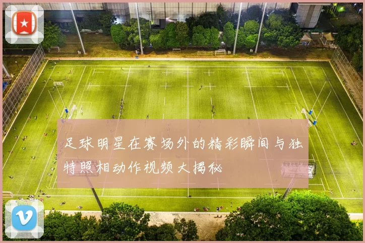足球明星在赛场外的精彩瞬间与独特照相动作视频大揭秘