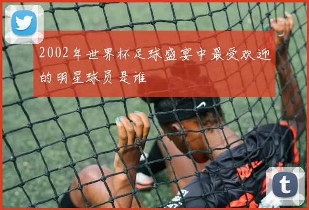 2002年世界杯足球盛宴中最受欢迎的明星球员是谁
